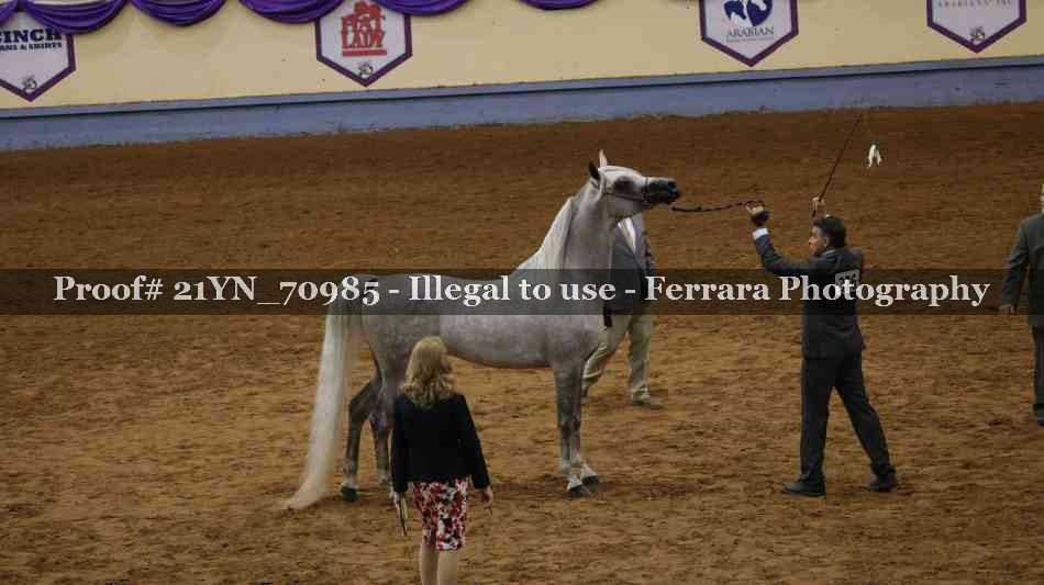 Proof 21YN_70985