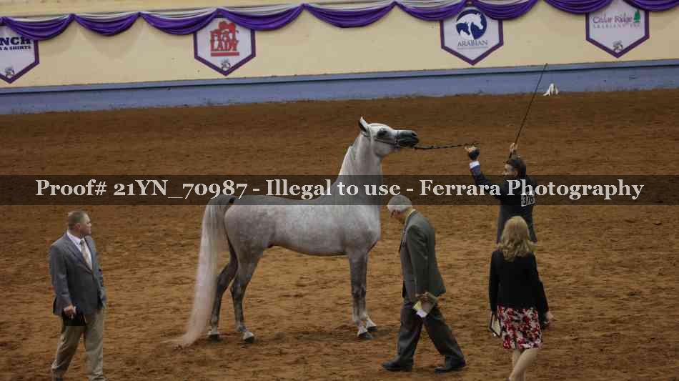 Proof 21YN_70987