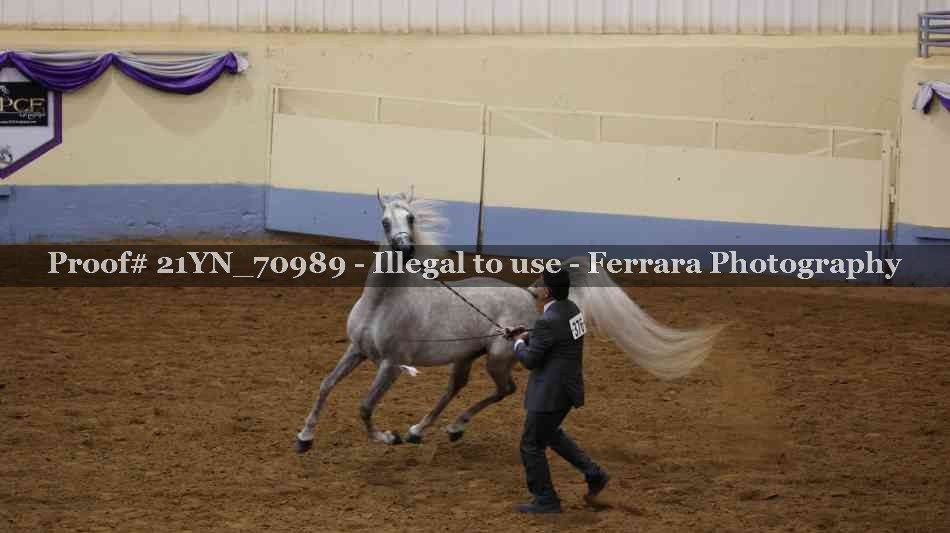 Proof 21YN_70989