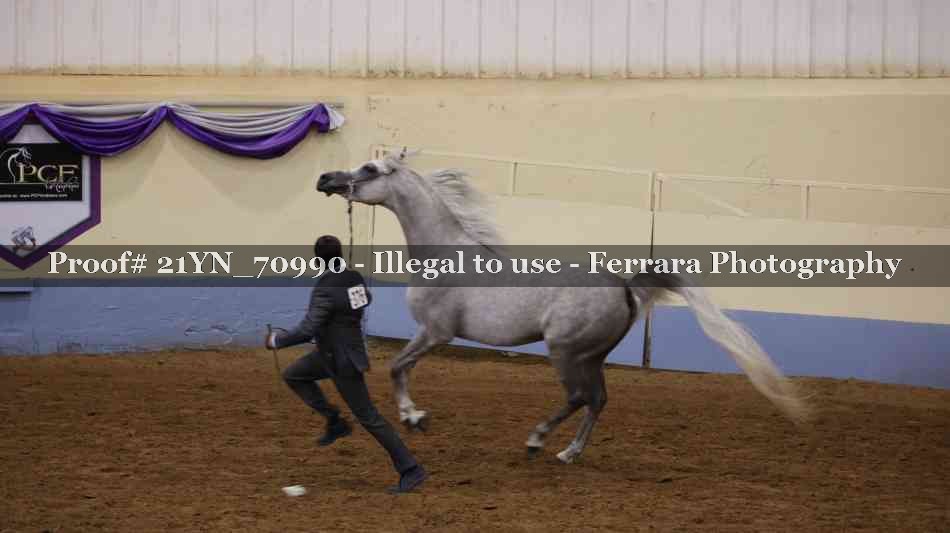 Proof 21YN_70990