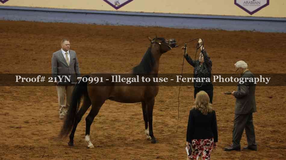 Proof 21YN_70991