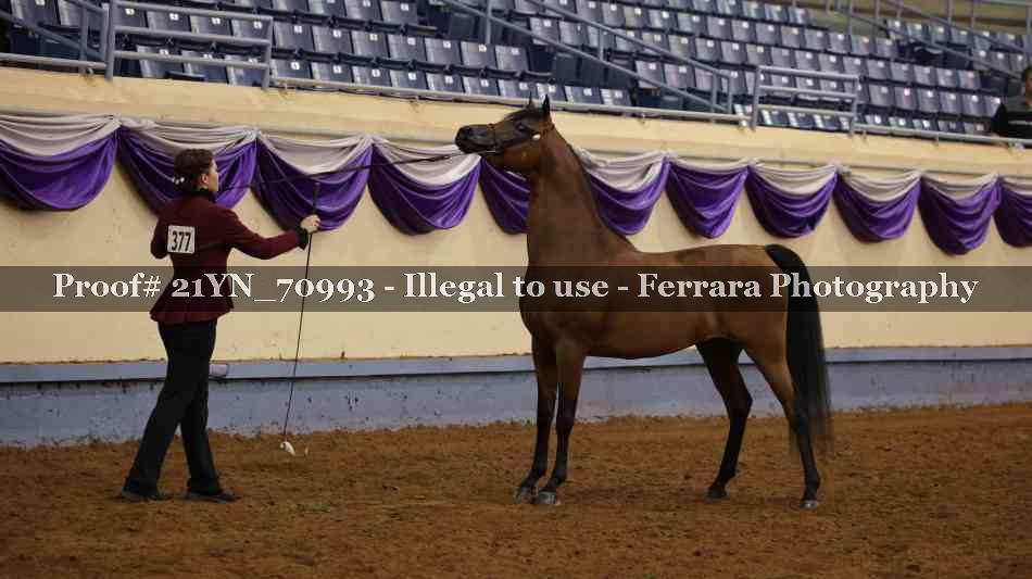 Proof 21YN_70993