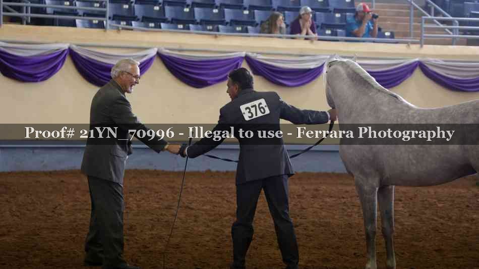 Proof 21YN_70996