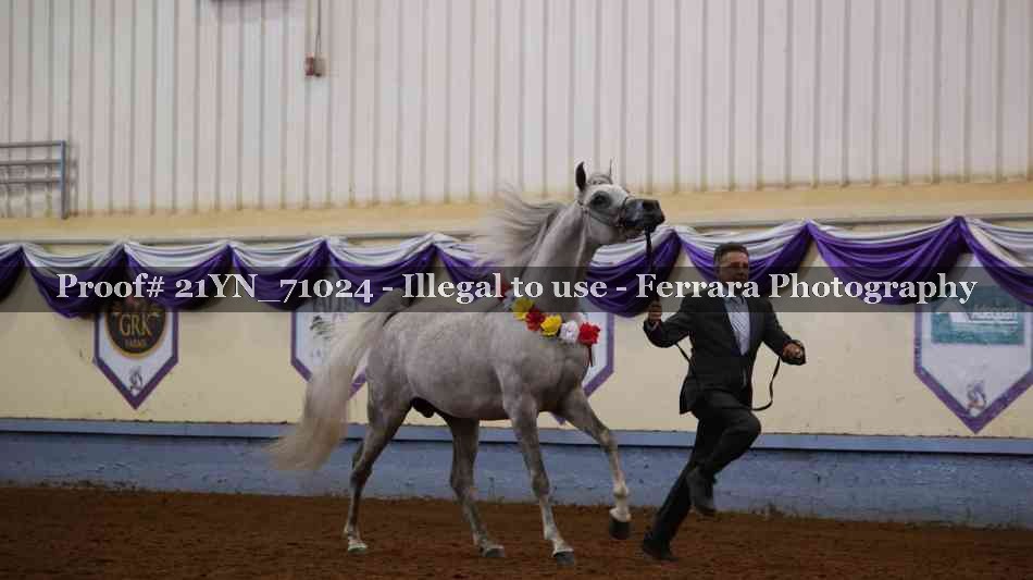 Proof 21YN_71024