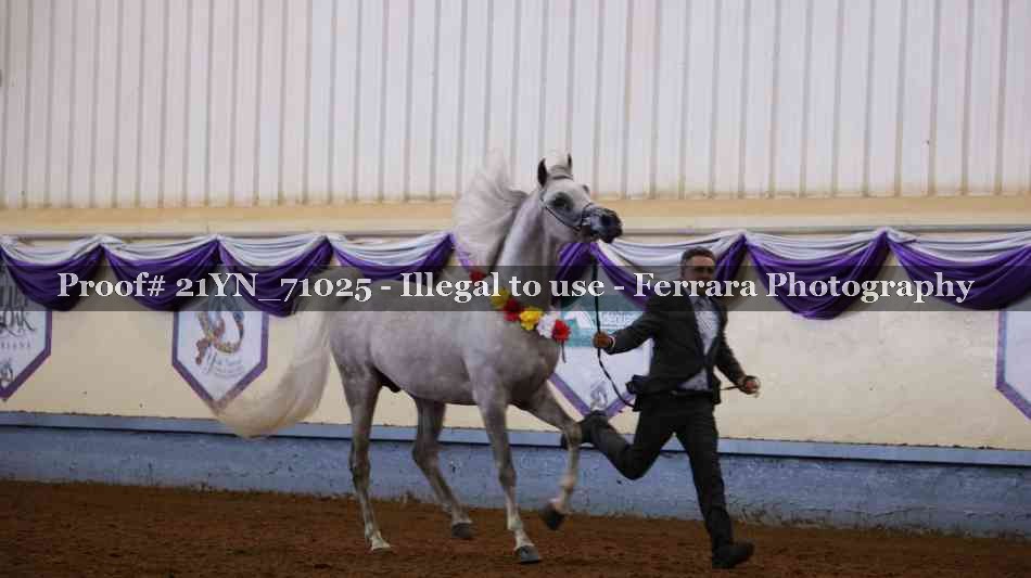 Proof 21YN_71025