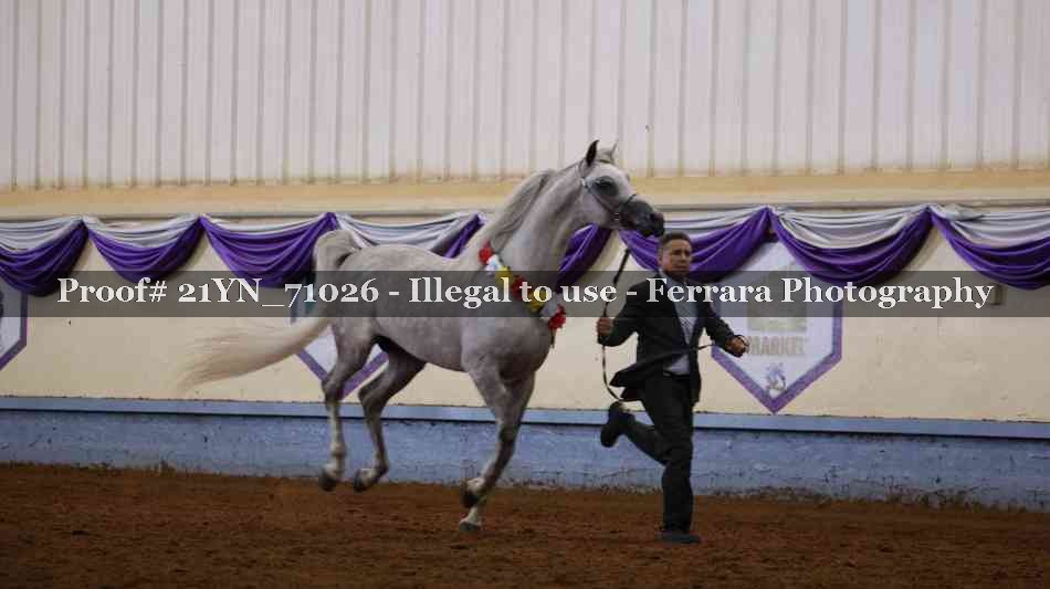 Proof 21YN_71026