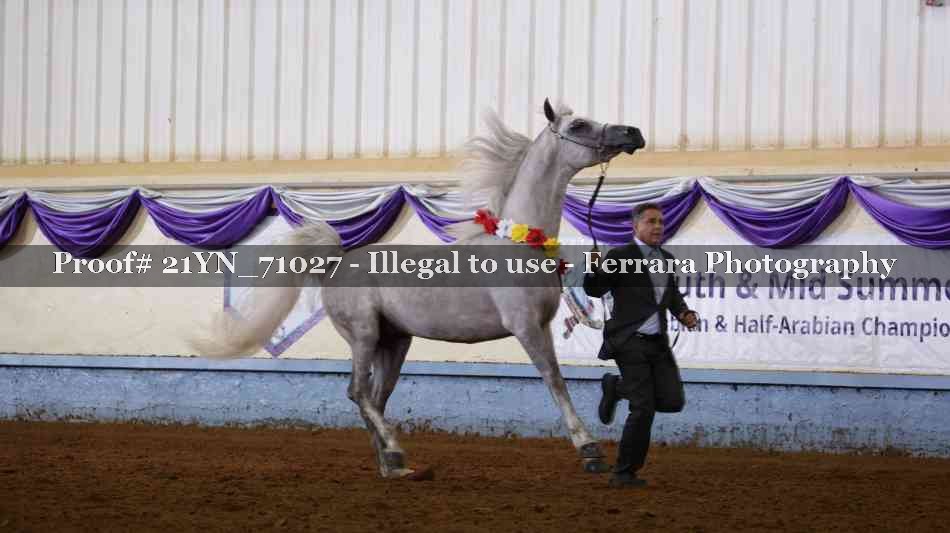 Proof 21YN_71027