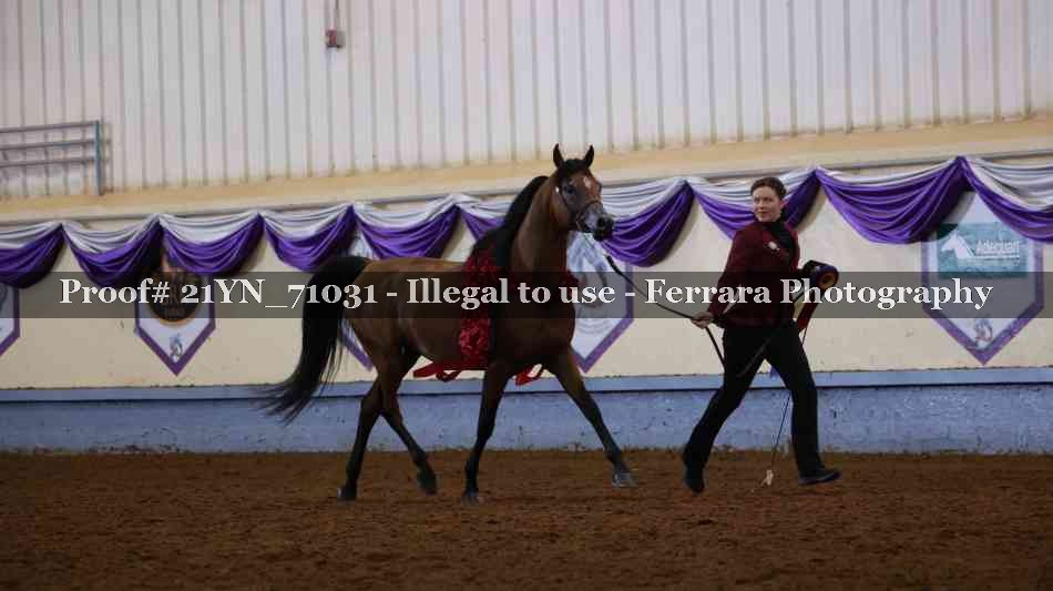 Proof 21YN_71031