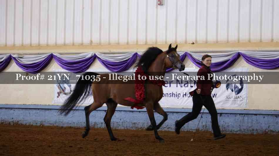 Proof 21YN_71035