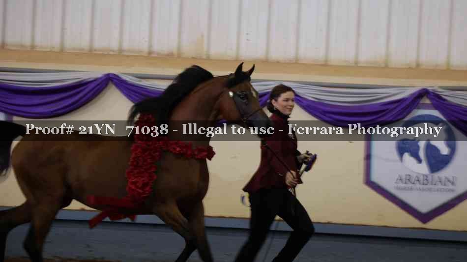 Proof 21YN_71038