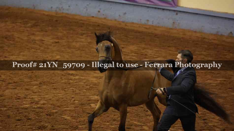 Proof 21YN_59709