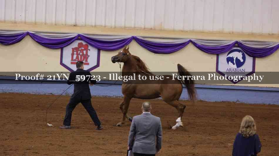 Proof 21YN_59723