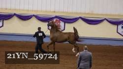 21YN_59724 proof
