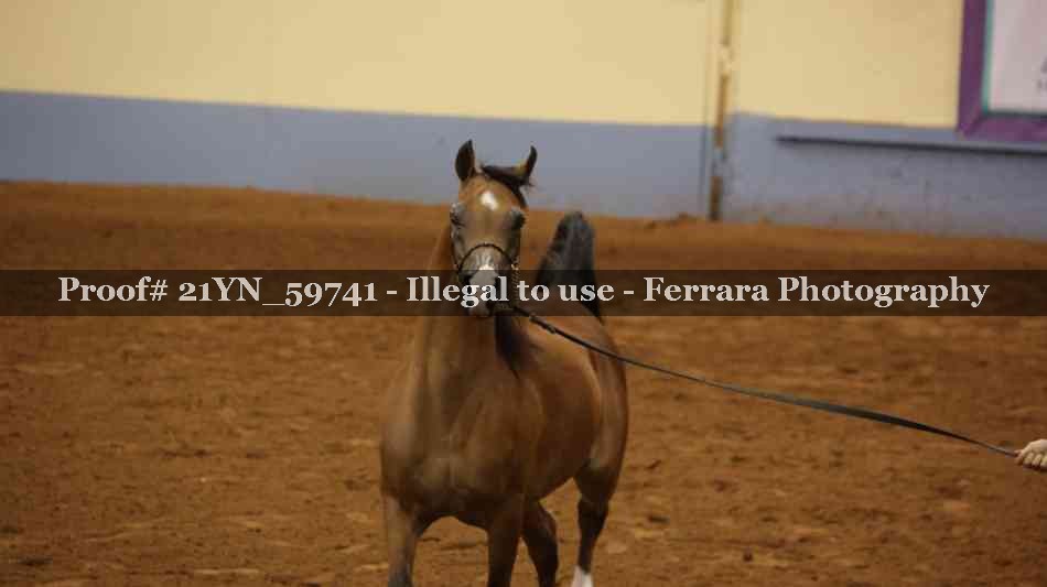 Proof 21YN_59741