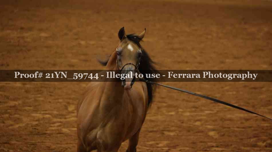 Proof 21YN_59744
