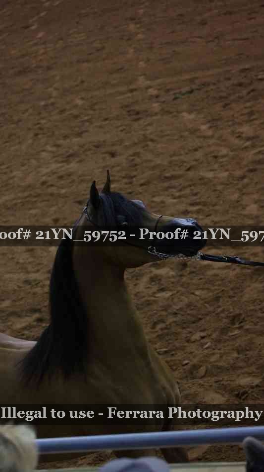 Proof 21YN_59752