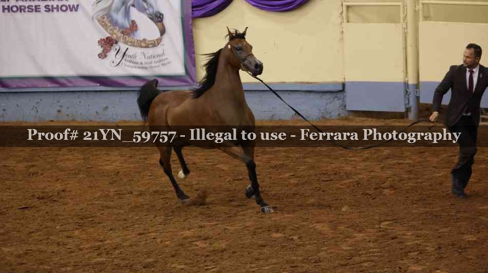 Proof 21YN_59757