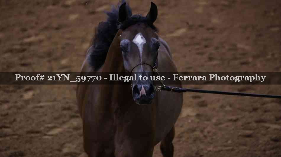 Proof 21YN_59770