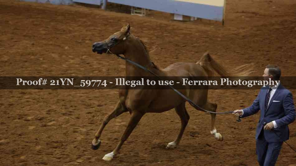 Proof 21YN_59774