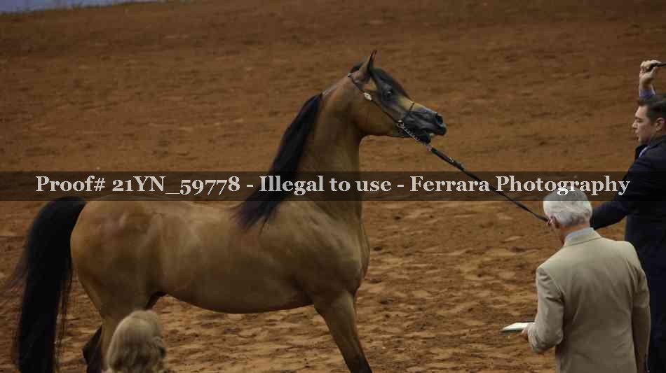 Proof 21YN_59778