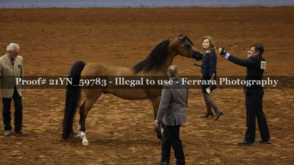 Proof 21YN_59783