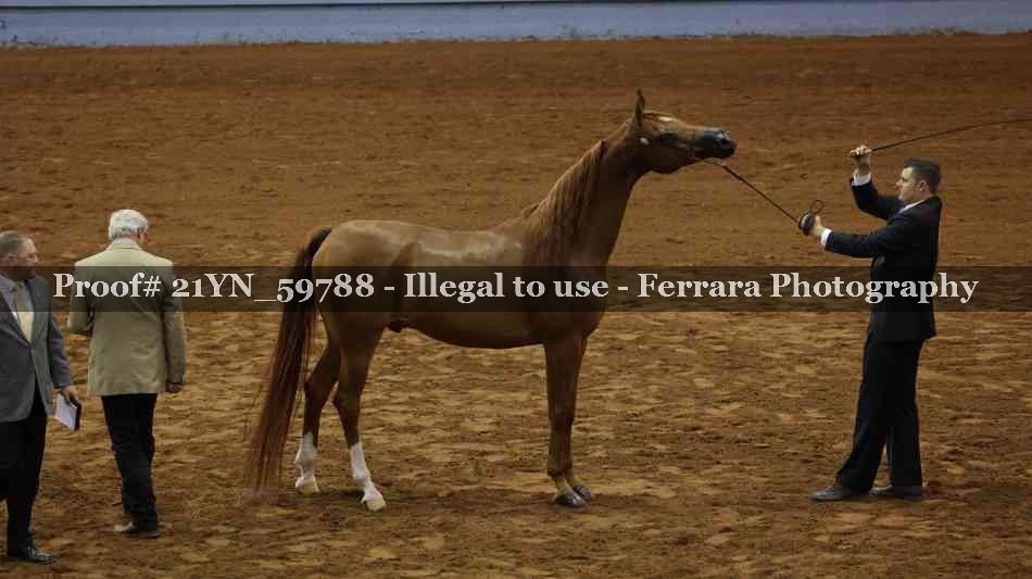 Proof 21YN_59788