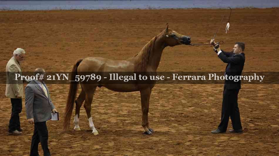 Proof 21YN_59789