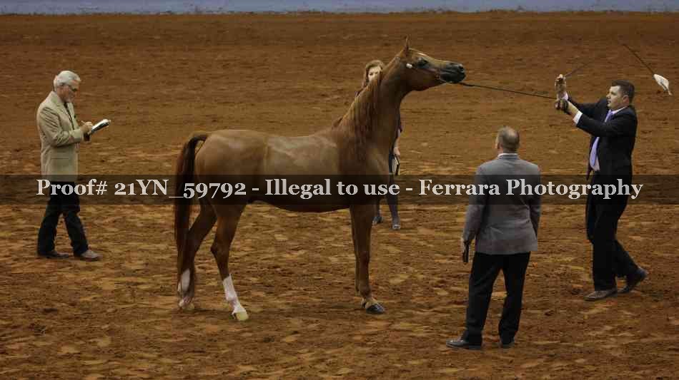 Proof 21YN_59792