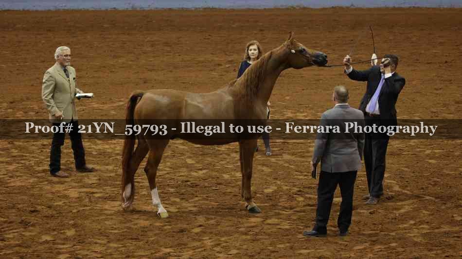 Proof 21YN_59793