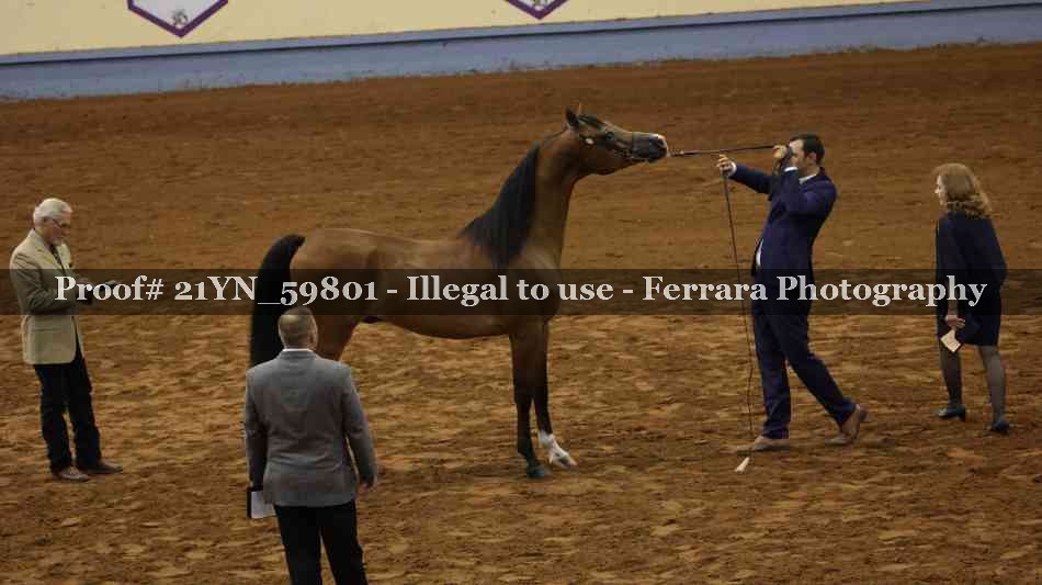 Proof 21YN_59801