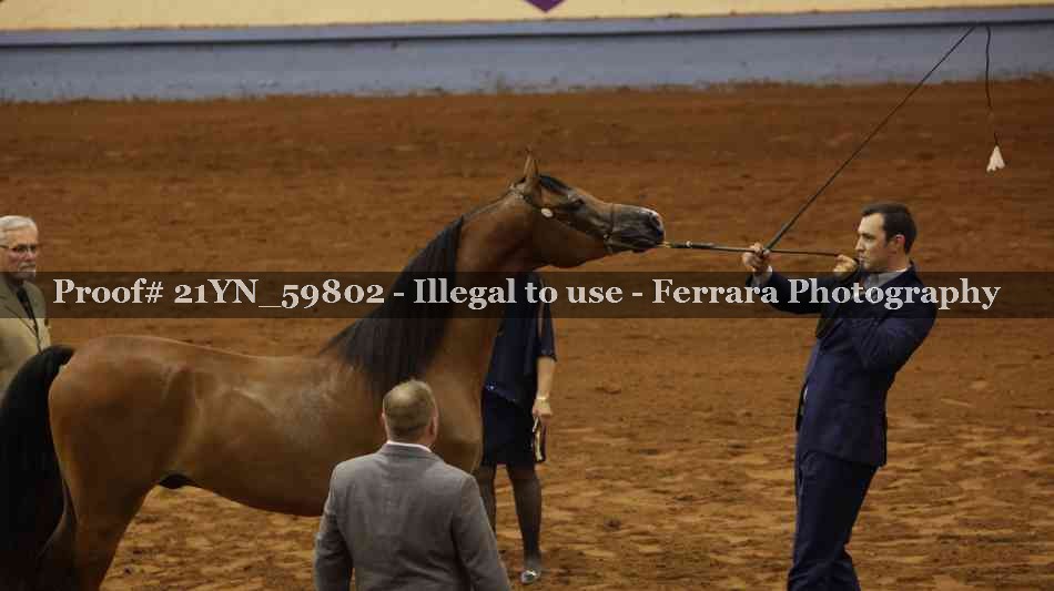 Proof 21YN_59802