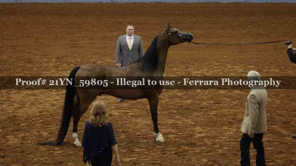 Proof 21YN_59805