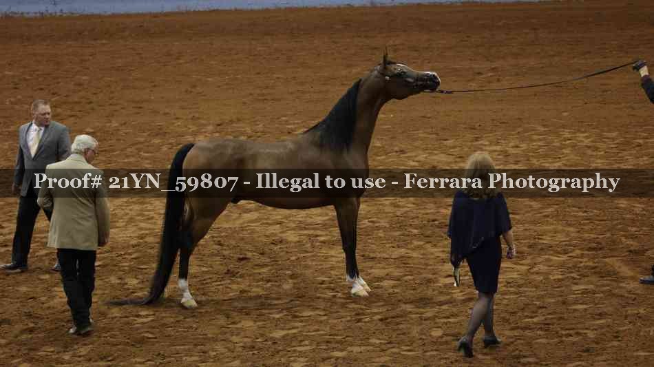 Proof 21YN_59807