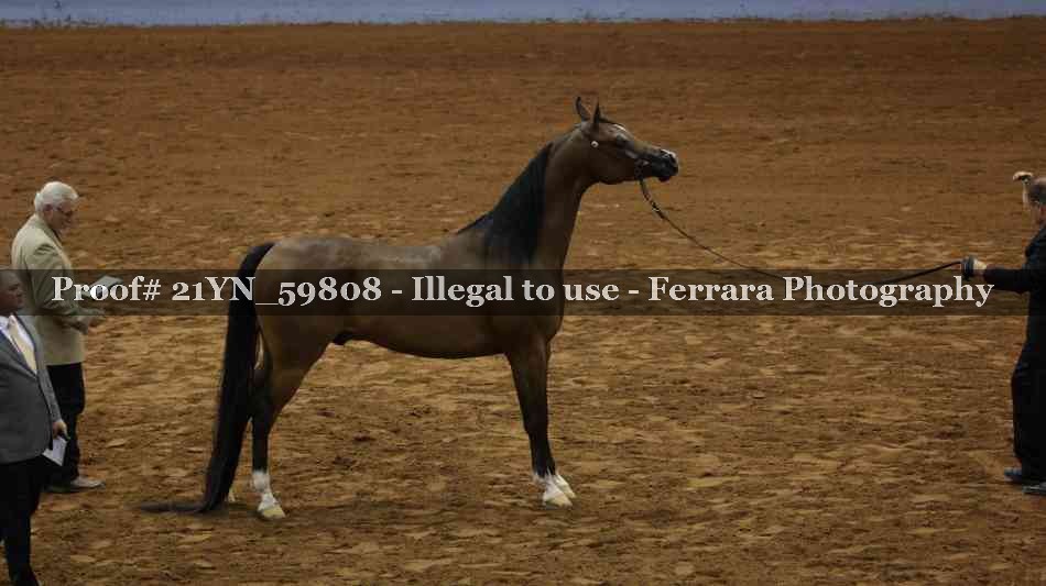 Proof 21YN_59808