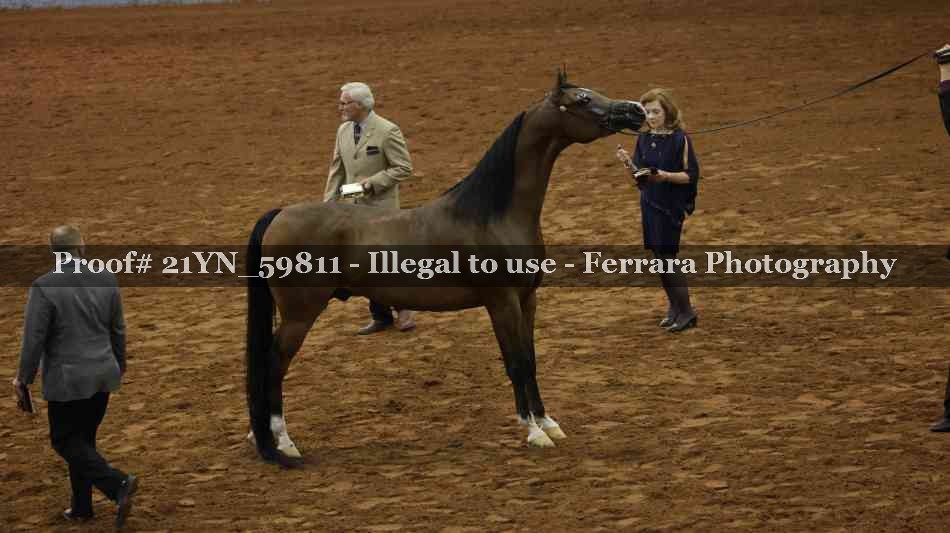 Proof 21YN_59811
