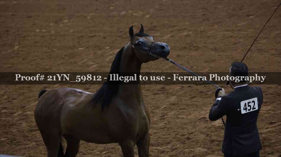 Proof 21YN_59812