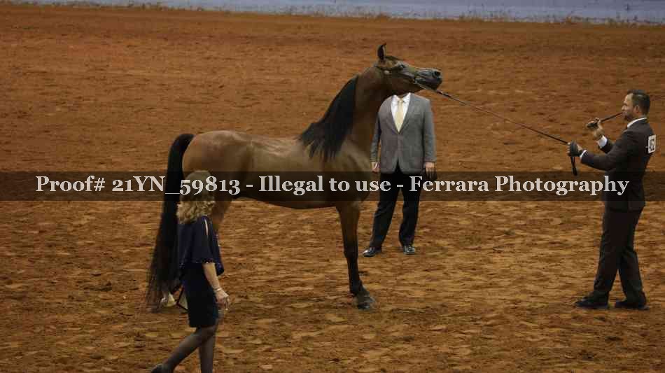 Proof 21YN_59813