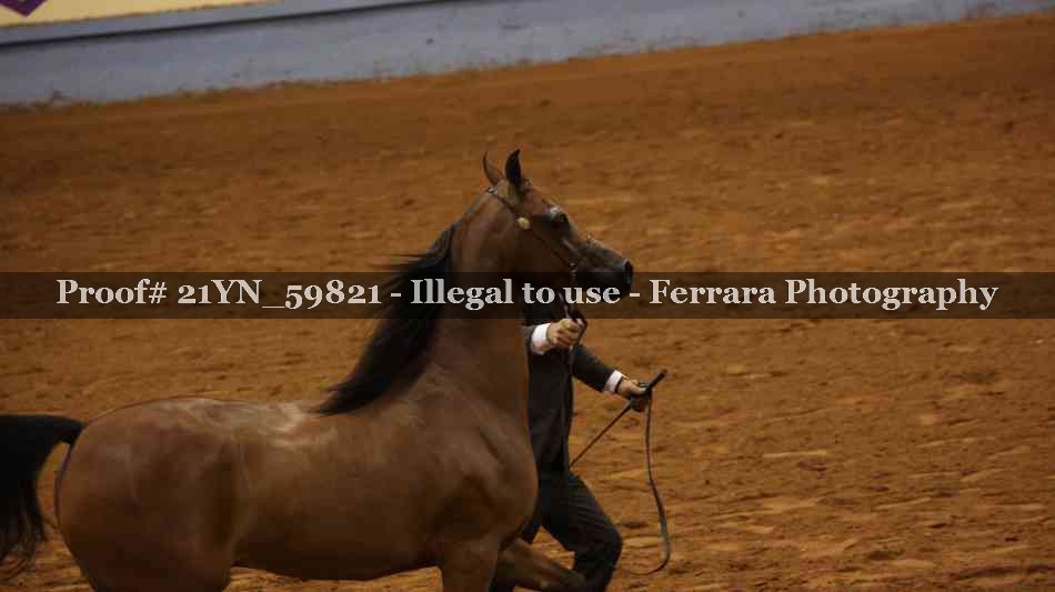 Proof 21YN_59821