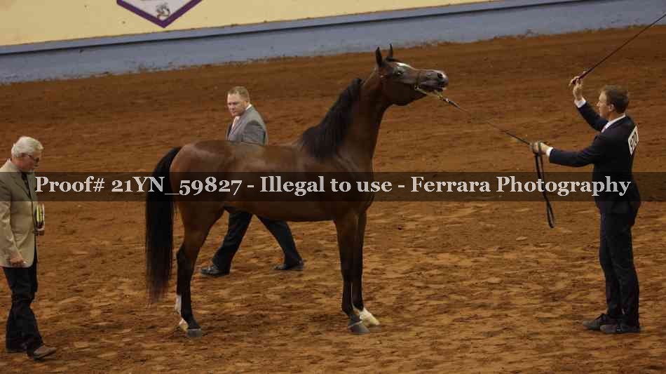 Proof 21YN_59827