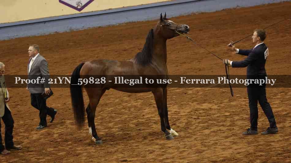 Proof 21YN_59828