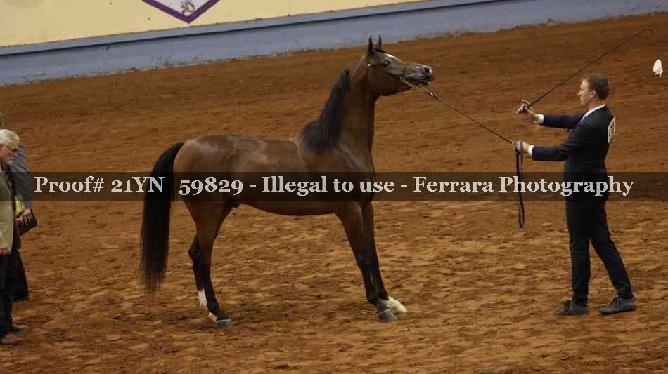Proof 21YN_59829