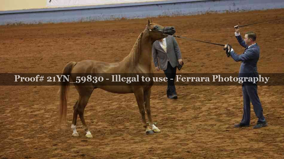 Proof 21YN_59830