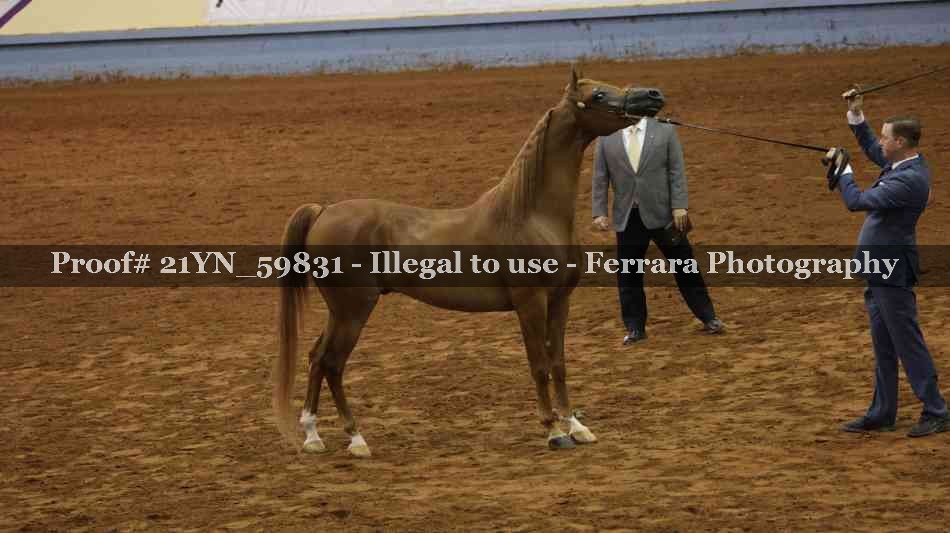 Proof 21YN_59831
