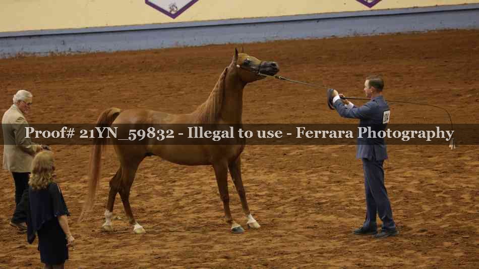 Proof 21YN_59832