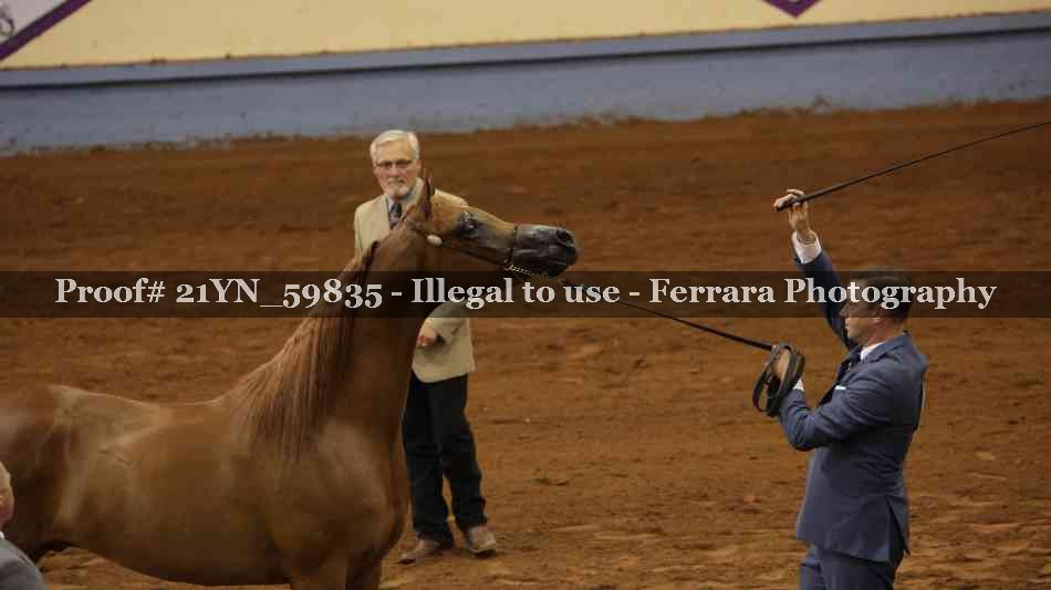 Proof 21YN_59835