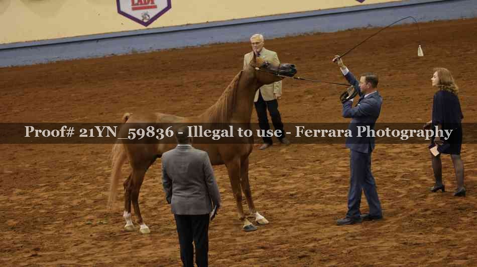 Proof 21YN_59836