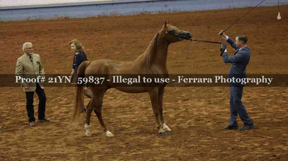 Proof 21YN_59837