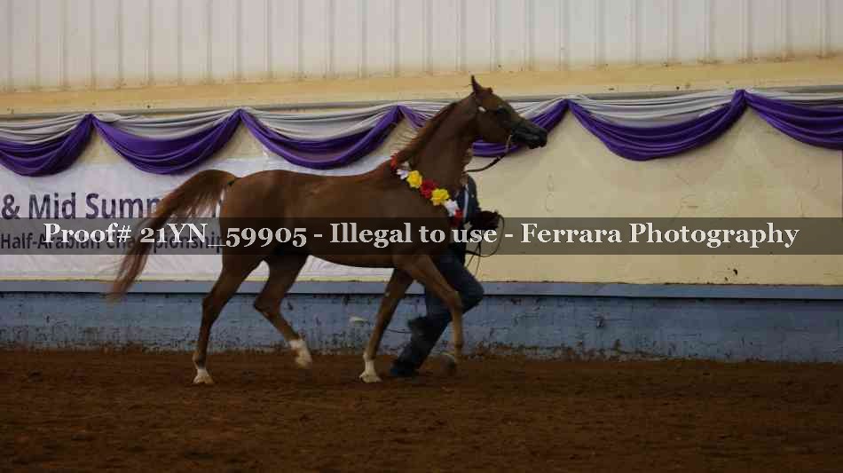 Proof 21YN_59905