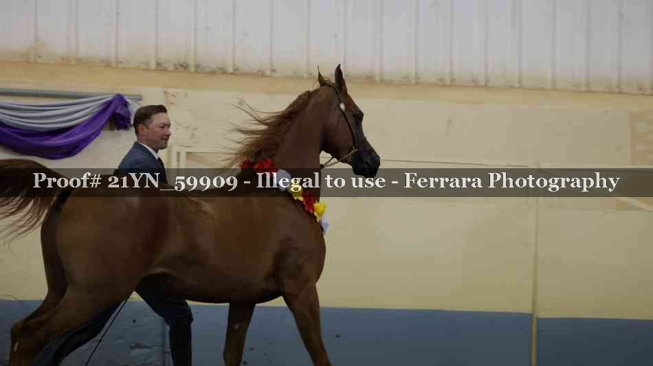 Proof 21YN_59909