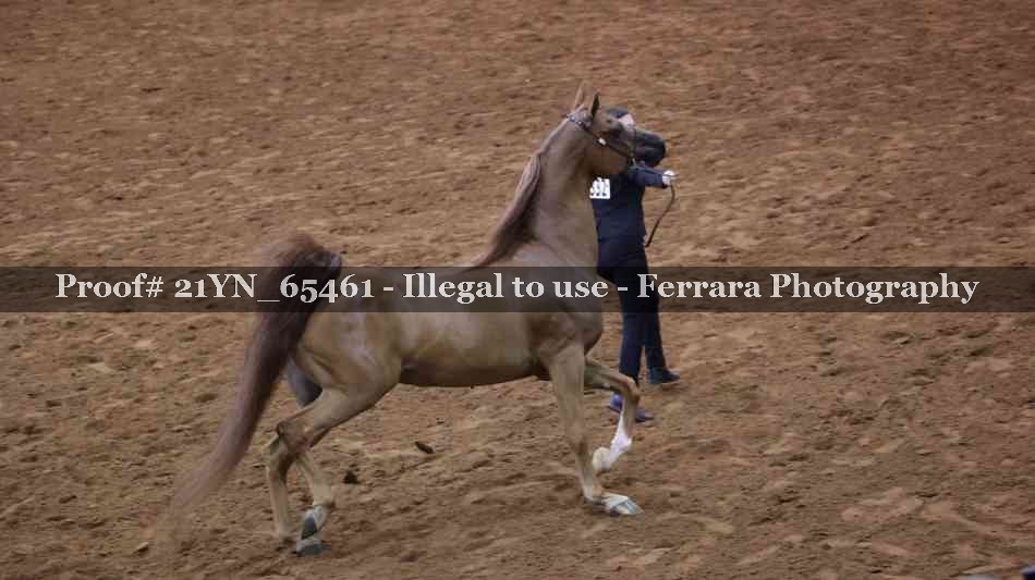 Proof 21YN_65461